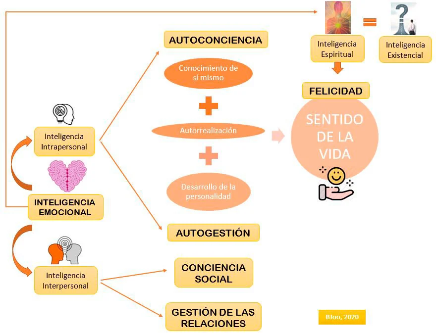Conceptos relacionados con la inteligencia espiritual